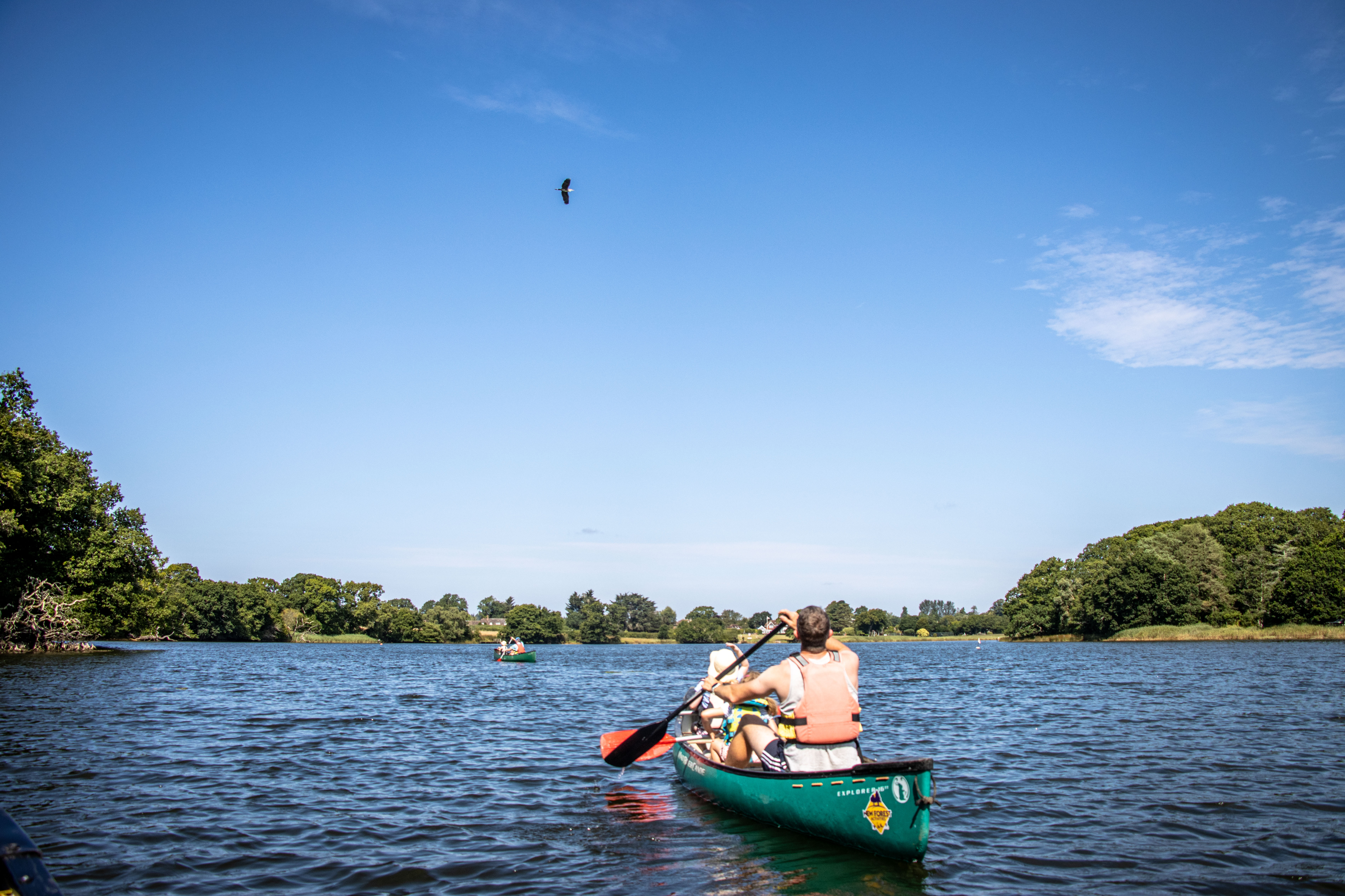 Bird spotting on Beaulieu River