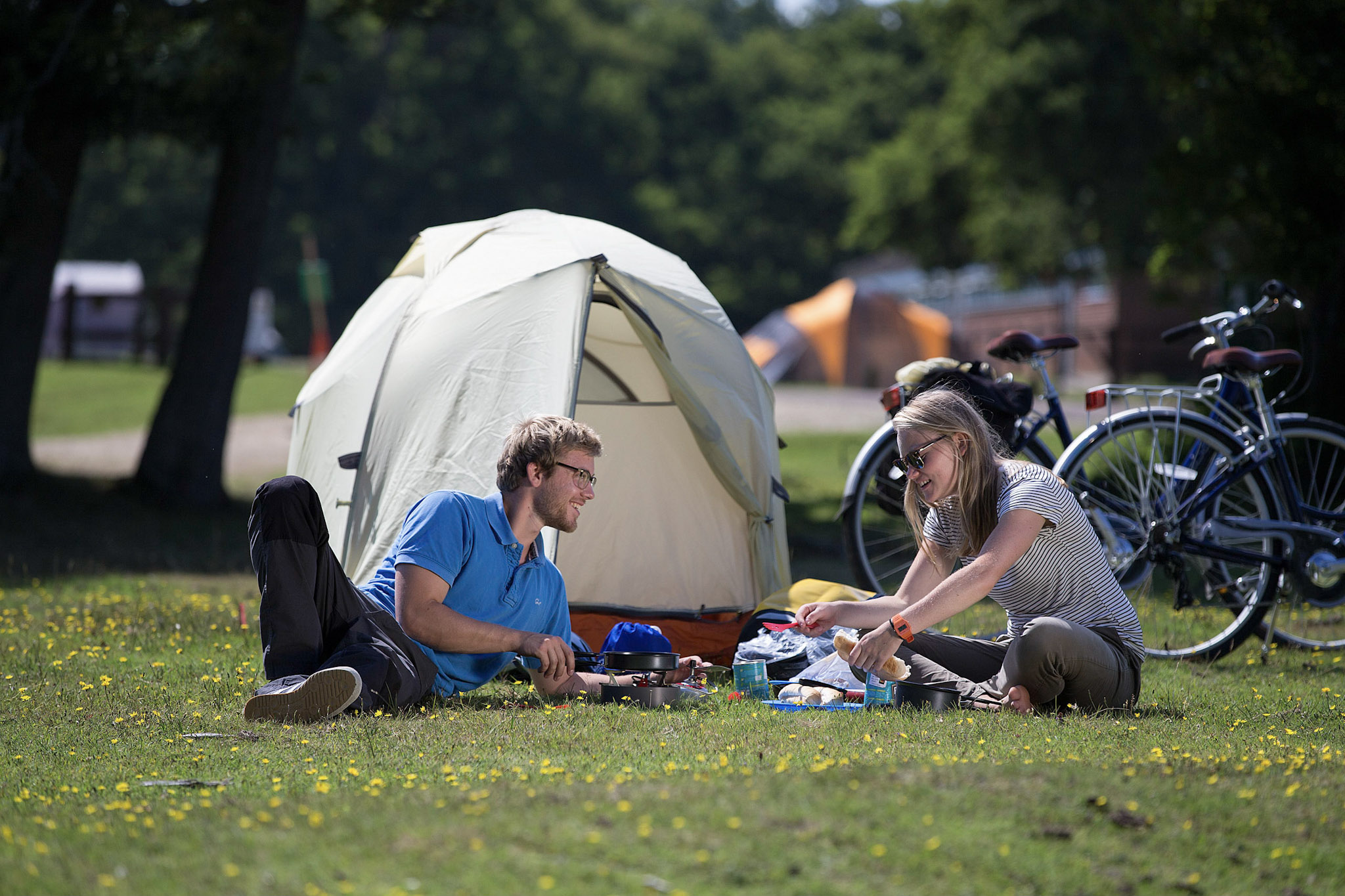Camping and cycling in the New Forest